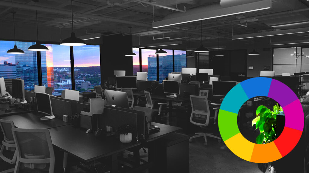 How to use color to reach the right audience